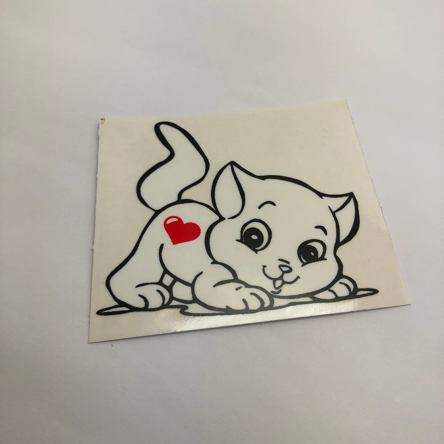 Sticker Chico - Gatito blanco