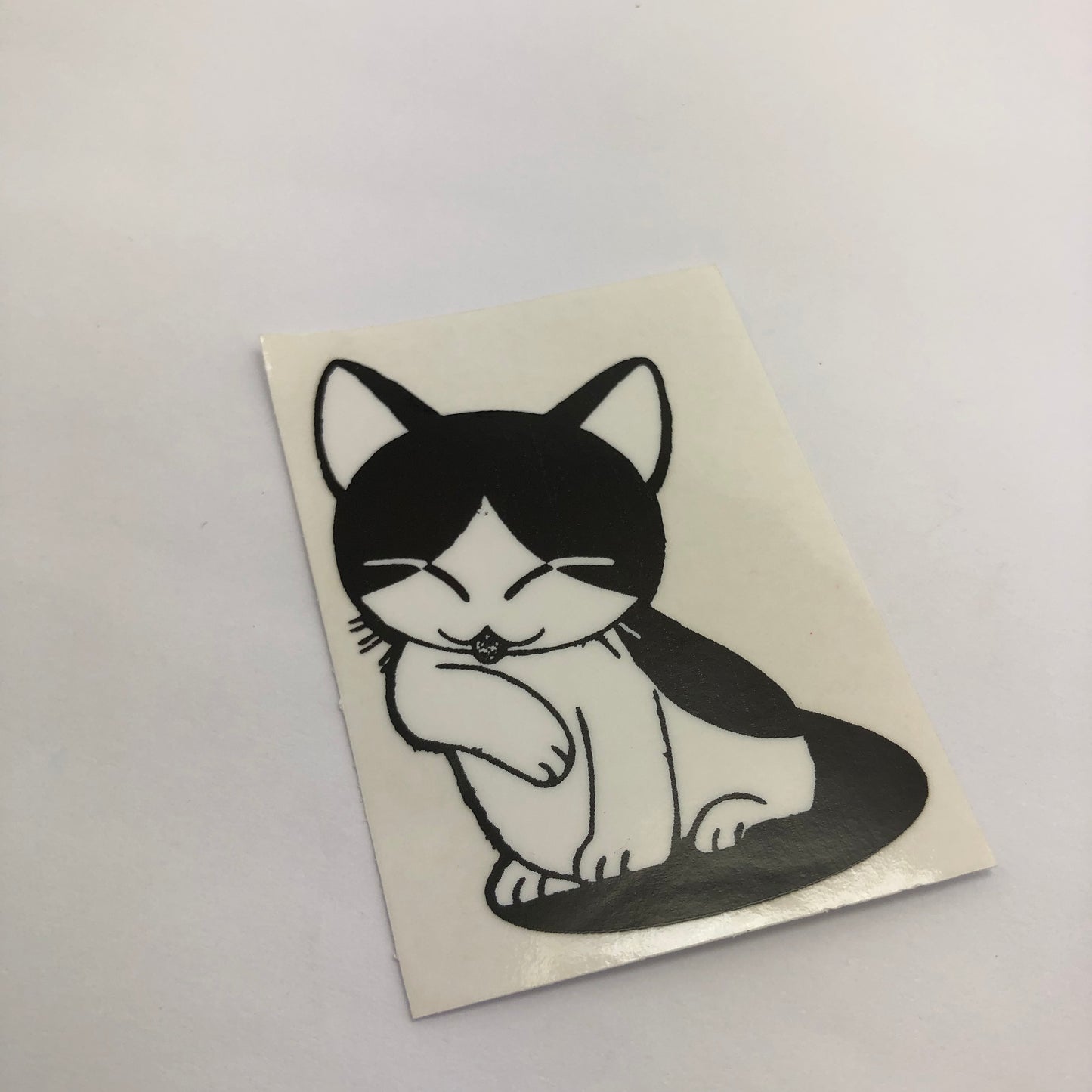 Sticker Chico - Gatito B&N